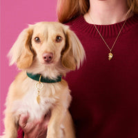 Best Friends Furever Necklace and Collar Charm Set from The Foggy Dog