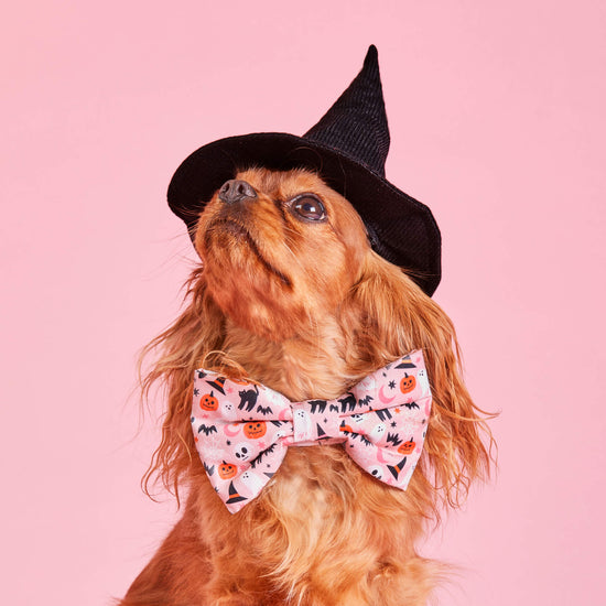 Bewitched Dog Bow Tie