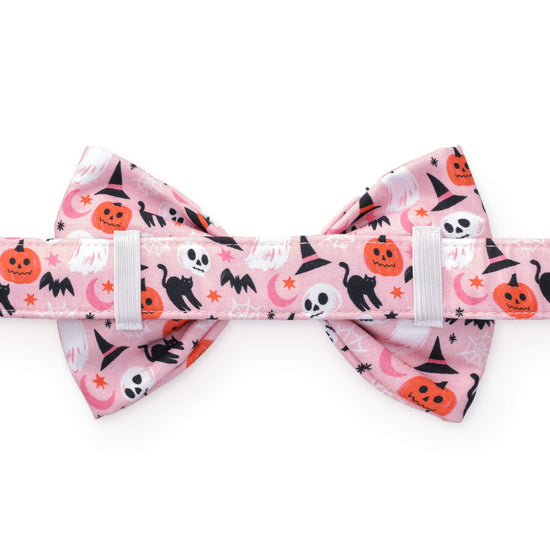 Bewitched Bow Tie Collar