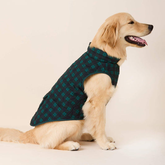 Black Watch Plaid Reversible Dog Jacket view 2