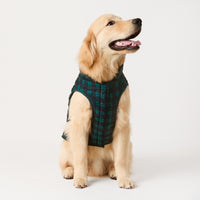#Modeled by Peanut (40lbs) in Large