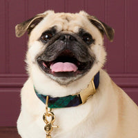 #Modeled by Greg (23lbs) in Medium