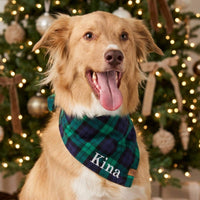 #Modeled by Kina (60lbs) in Large