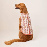 #Modeled by Maple (45lbs) in Large