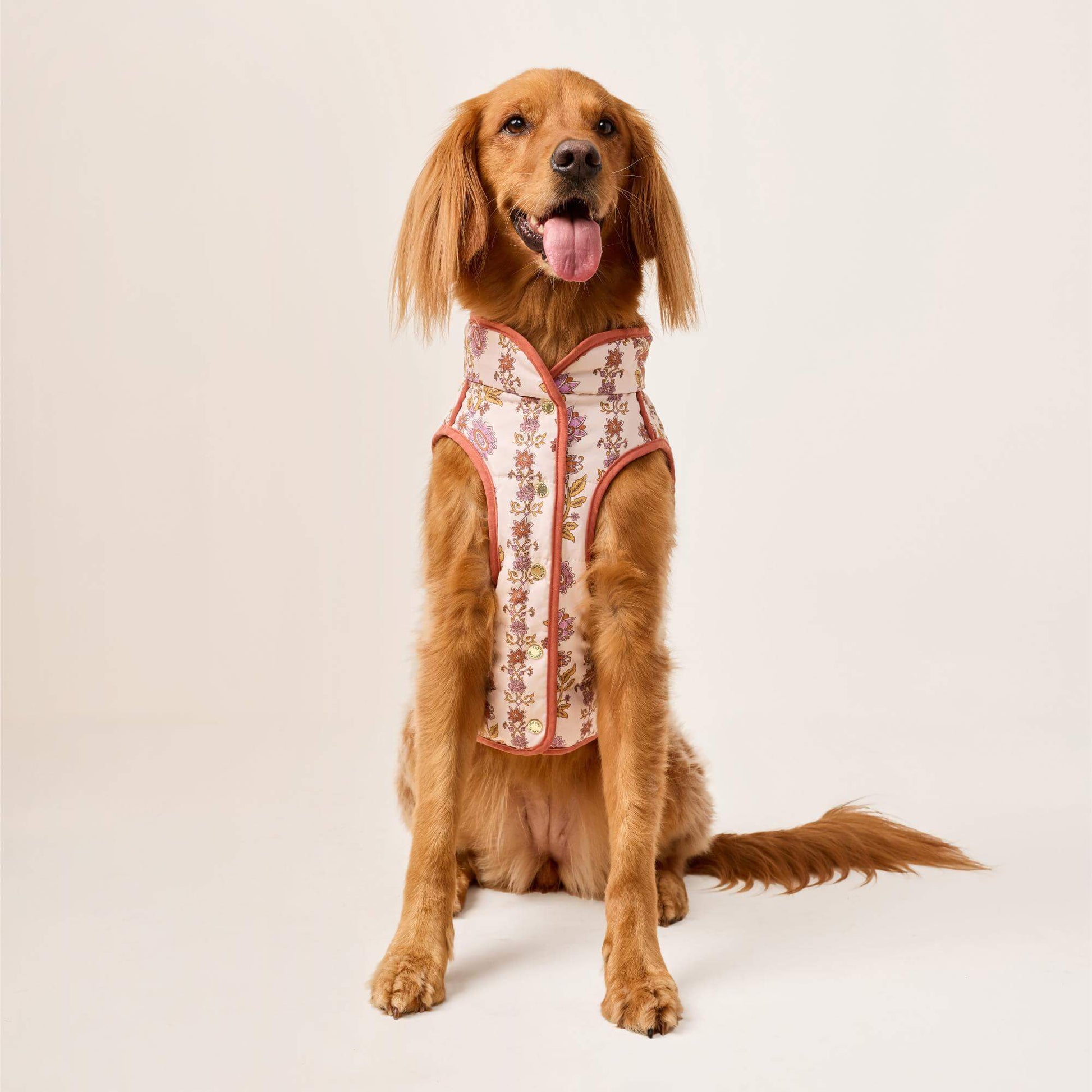 #Modeled by Maple (45lbs) in Large