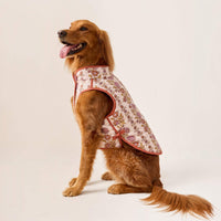 #Modeled by Maple (45lbs) in Large