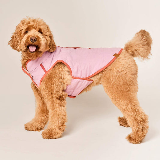 Blockprint Floral Reversible Dog Jacket view 2