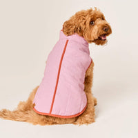 #Modeled by Poppy (20lbs) in Medium