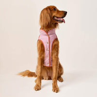 #Modeled by Maple (45lbs) in Large