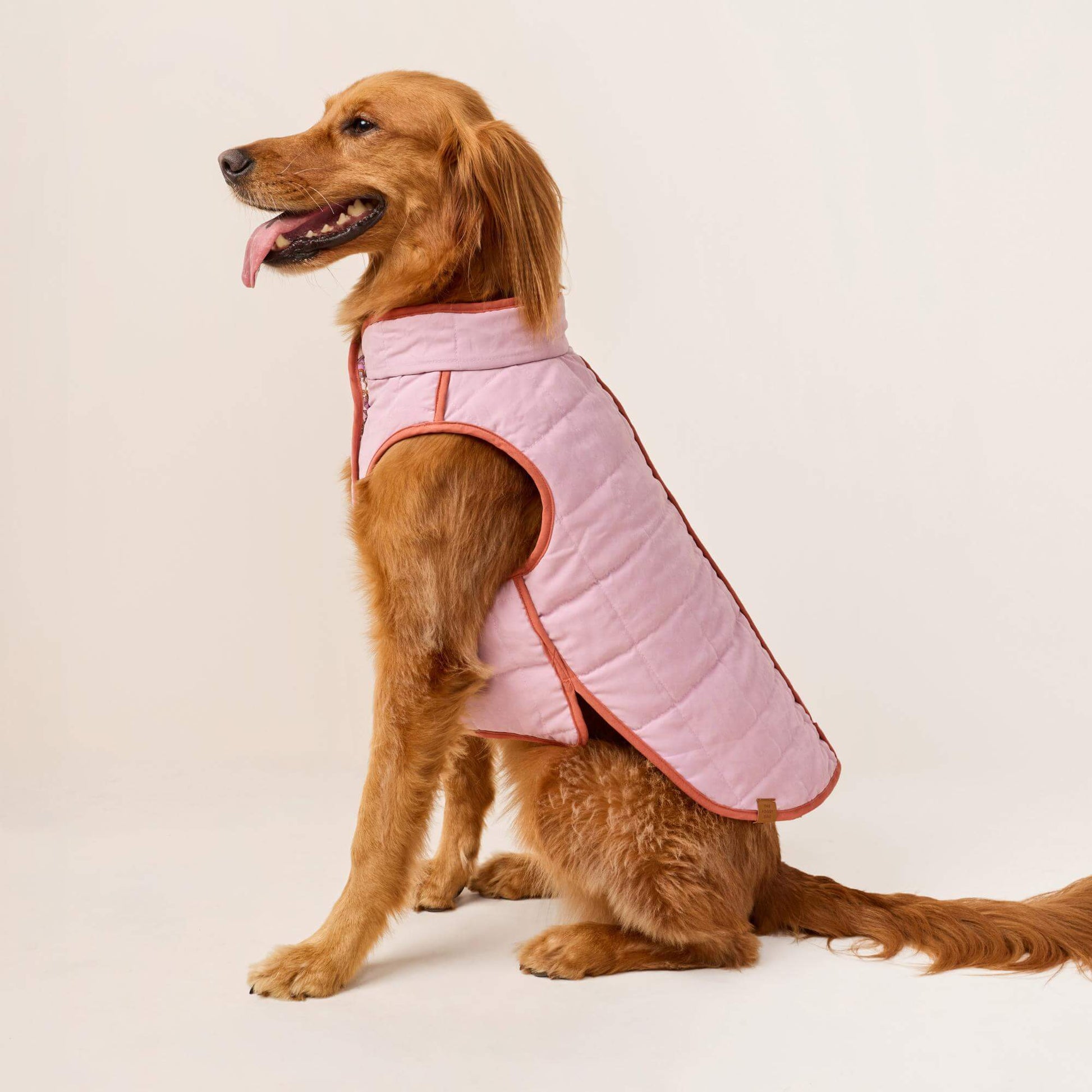 #Modeled by Maple (45lbs) in Large