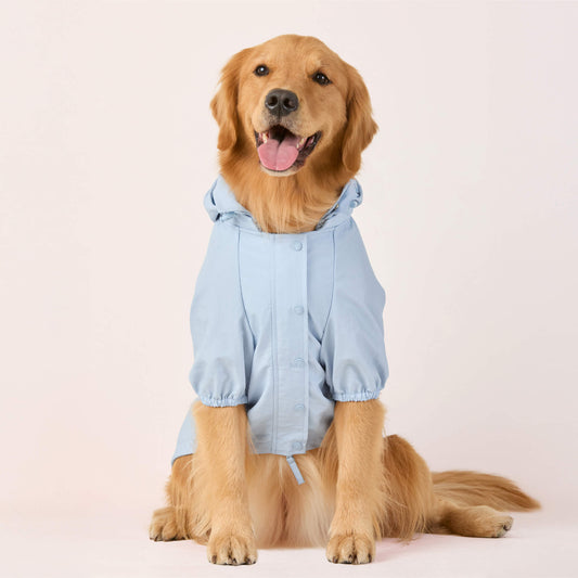 #Modeled by Riddle (55lbs) in Large