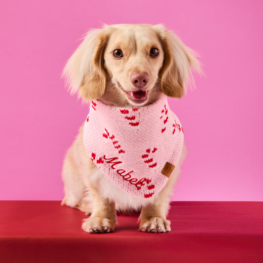 Pink Candy Canes Knit Dog Bandana view 2