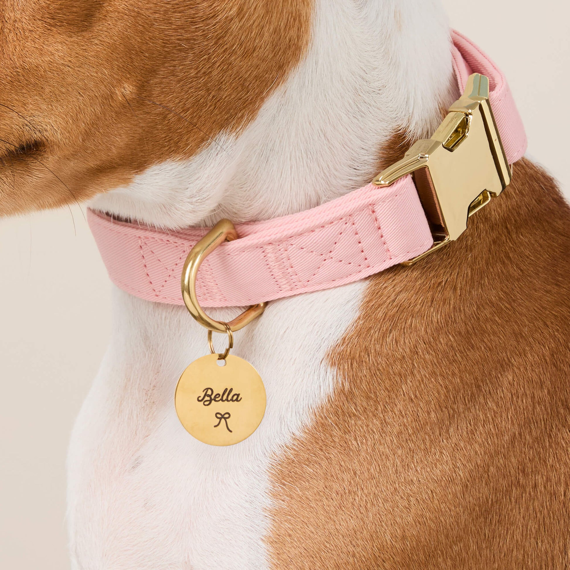 #Modeled by Ricky (30lbs) in a Large pet ID tag