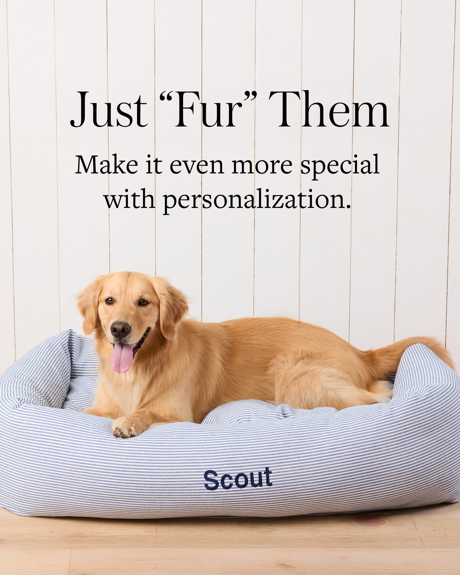 Personalized Dog Beds from The Foggy Dog