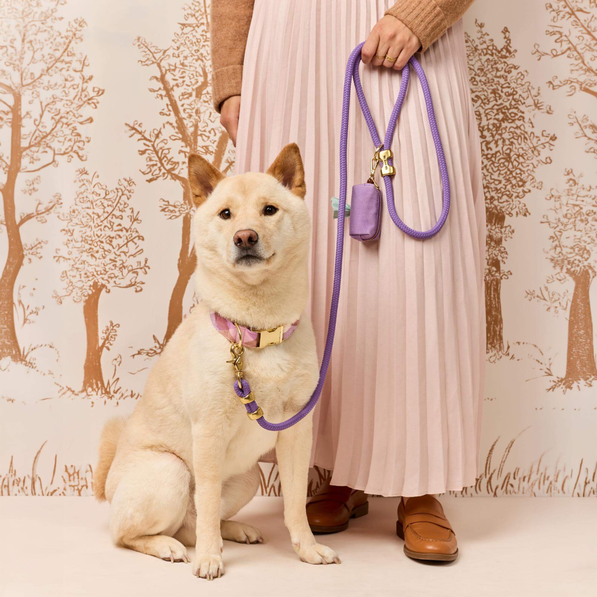 Bramble Flannel Collar Walk Set – The Foggy Dog
