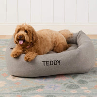 #Modeled by Poppy (20lbs) in Large