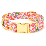 Bright Butterflies Dog Collar from The Foggy Dog