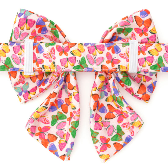 Bright Butterflies Lady Bow Collar from The Foggy Dog