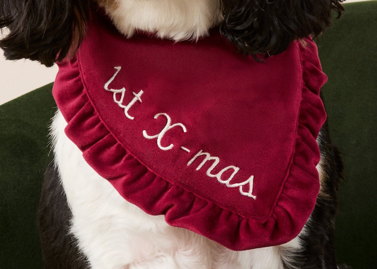 Burgundy Velvet Ruffled Dog Bandana from The Foggy Dog