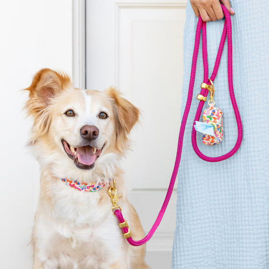 #Modeled by Holly (40lbs) in a Medium collar and Standard leash