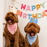 #Modeled by Penny and Louie (25lbs) both in Medium