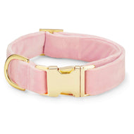 Blush Pink Velvet Dog Collar