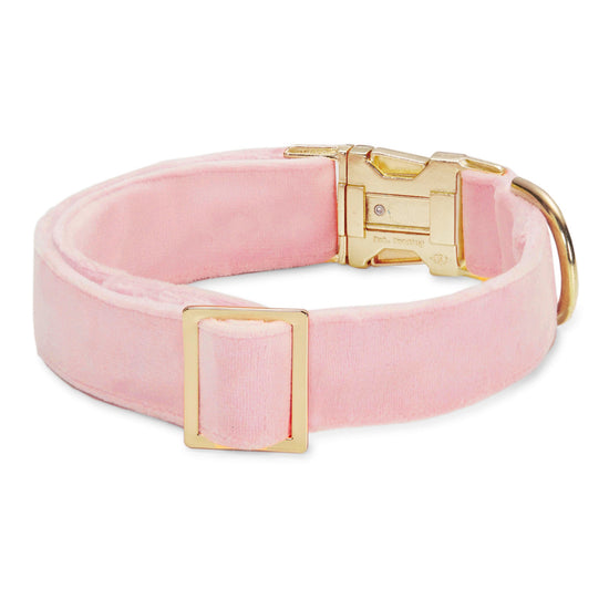 Blush Pink Velvet Dog Collar from The Foggy Dog