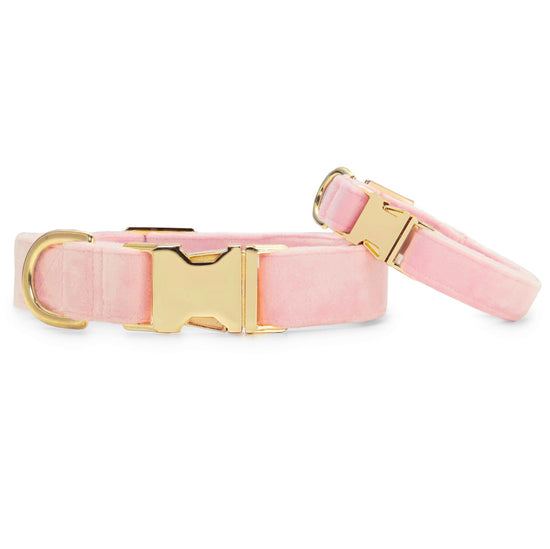 Blush Pink Velvet Dog Collar from The Foggy Dog