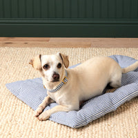 #Modeled by Arthur (20lbs) on Large