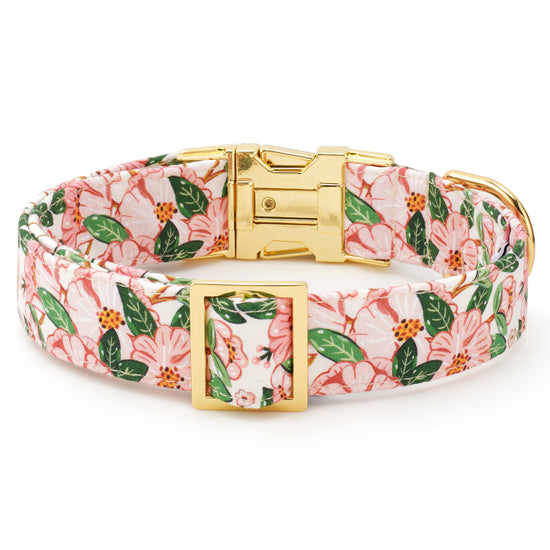 Camellia Dog Collar