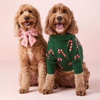 #Modeled by Brynn (25lbs) in a Medium collar and Large lady bow
