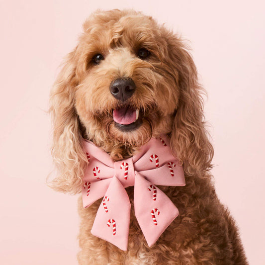 Blush Pink Candy Canes Embroidered Lady Dog Bow view 2