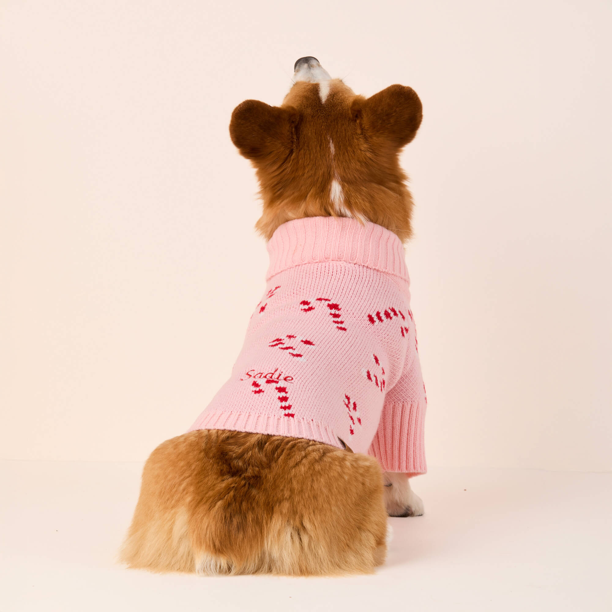 Pink Candy Canes Dog Sweater – The Foggy Dog