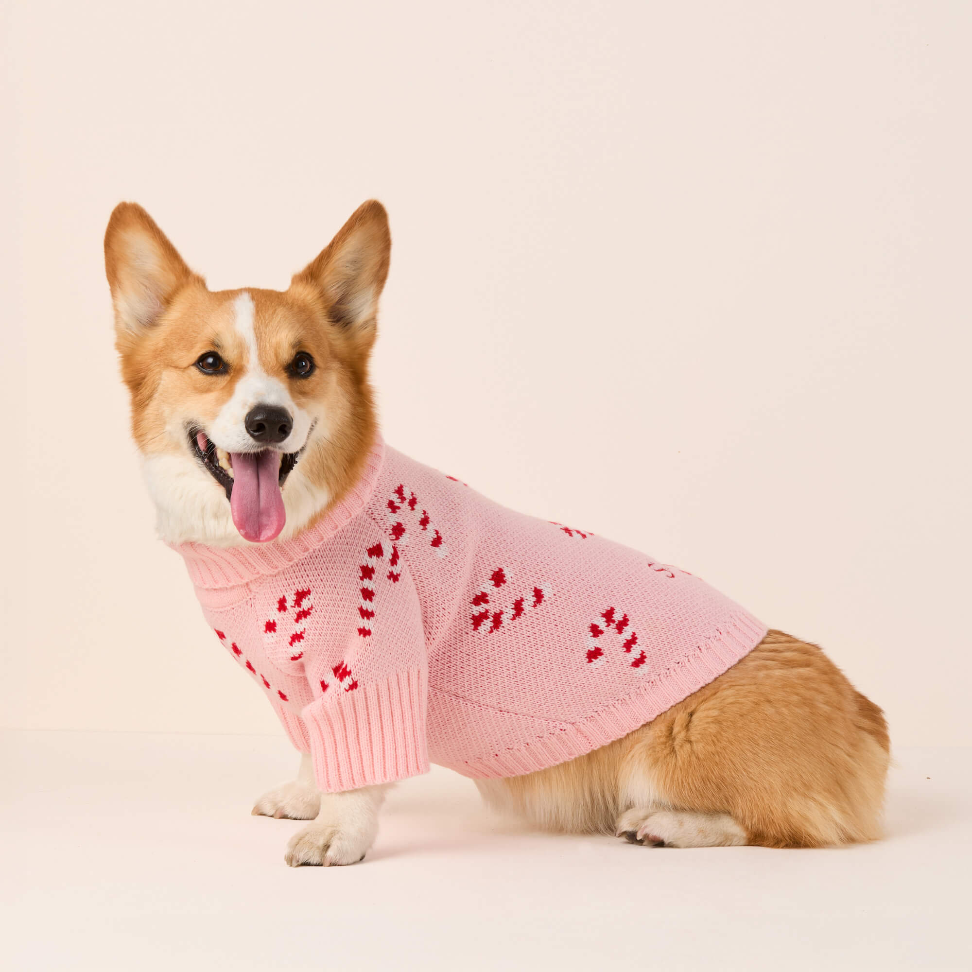 Pink Candy Canes Dog Sweater – The Foggy Dog