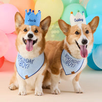 #Modeled by Captain and Tony (30lbs)