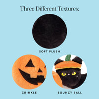 Cat-o’-Lantern 2-in-1 Bounce Dog Toy from The Foggy Dog