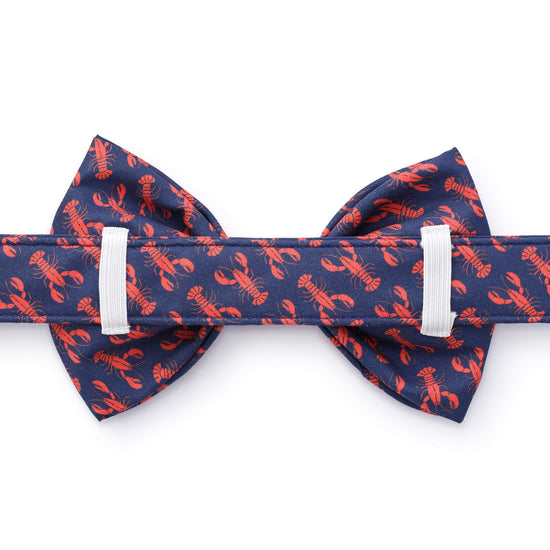 Catch of the Day Bow Tie Collar from The Foggy Dog
