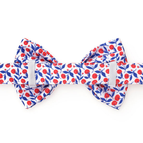 Cherry on Top Bow Tie Collar from The Foggy Dog