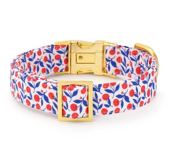 Cherry on Top Dog Collar from The Foggy Dog