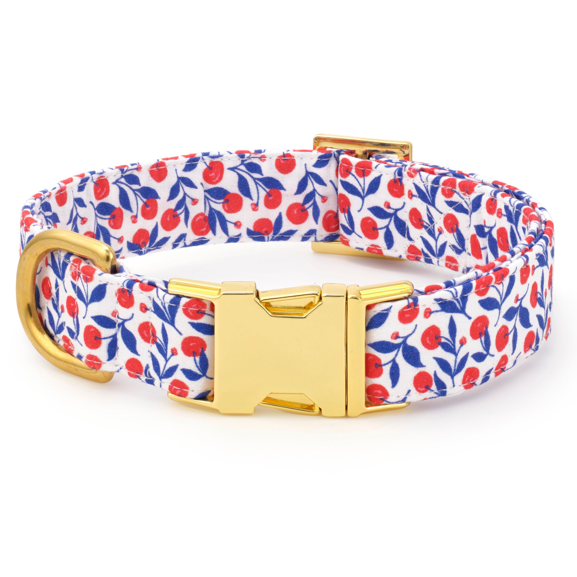The Foggy Dog Collar