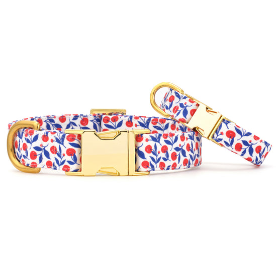 Cherry on Top Dog Collar from The Foggy Dog