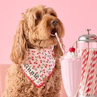 #Modeled by Ruby (27lbs) in Medium