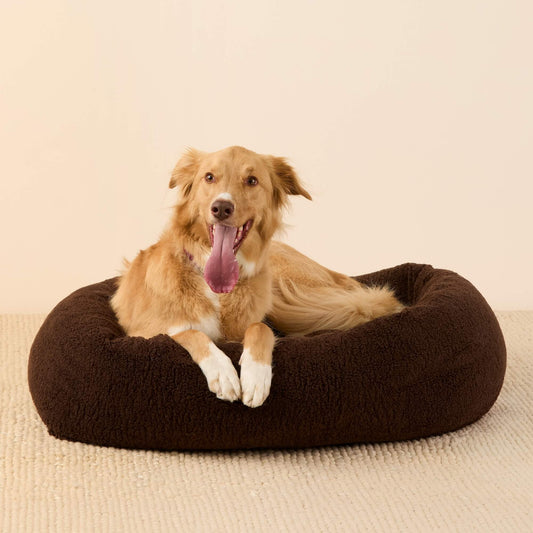 #Modeled by Kina (60lbs) in X-Large