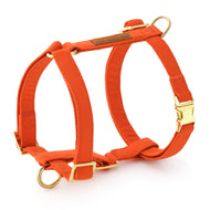 Cider Dog Harness from The Foggy Dog