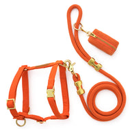 Cider Harness Walk Set from The Foggy Dog