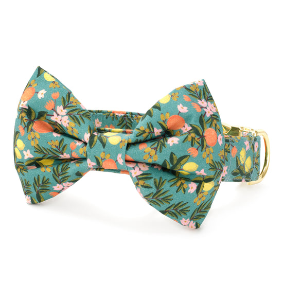 Rifle Paper Co. x TFD Citrus Floral Bow Tie Collar from The Foggy Dog