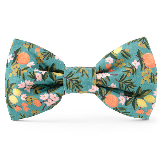 Rifle Paper Co. x TFD Citrus Floral Dog Bow Tie from The Foggy Dog