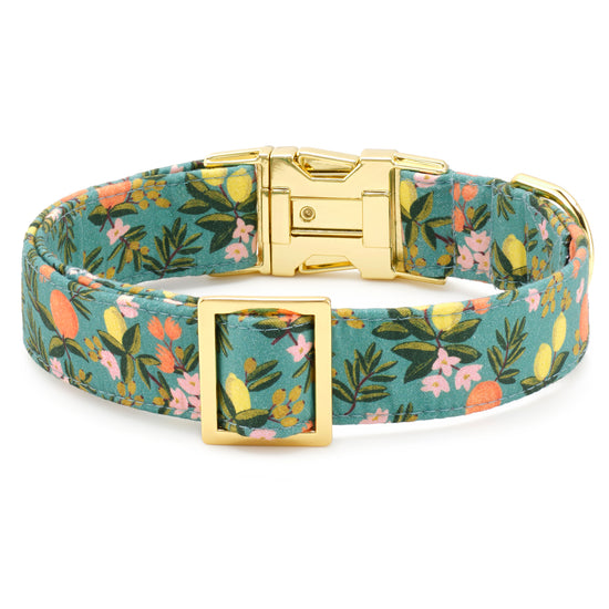 Rifle Paper Co. x TFD Citrus Floral Dog Collar from The Foggy Dog