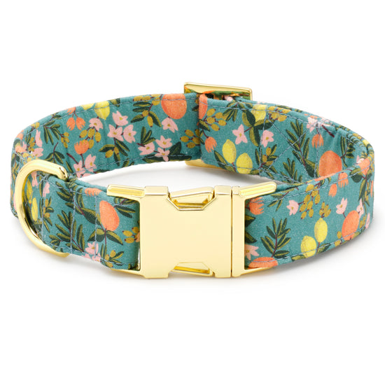 Rifle Paper Co. x TFD Citrus Floral Dog Collar from The Foggy Dog