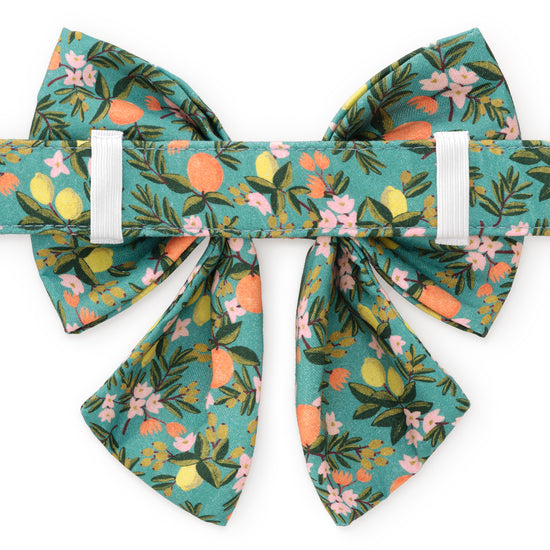 Rifle Paper Co. x TFD Citrus Floral Lady Bow Collar from The Foggy Dog